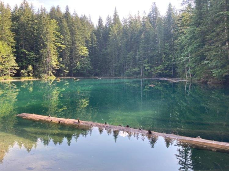 Fewo Berk Kuhnburg Buitenkant foto